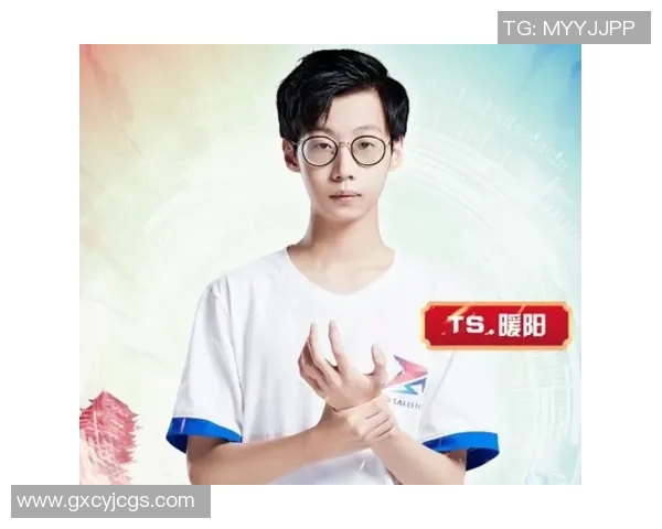 最新王者荣耀团队协作排行榜揭晓JDG战队强势领跑前十名实时数据