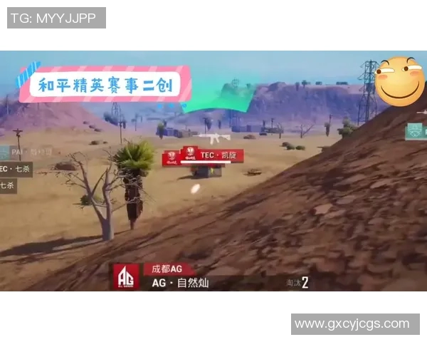 esports最新数据和平精英玩家热议IG团队意识争议引发的讨论与反思